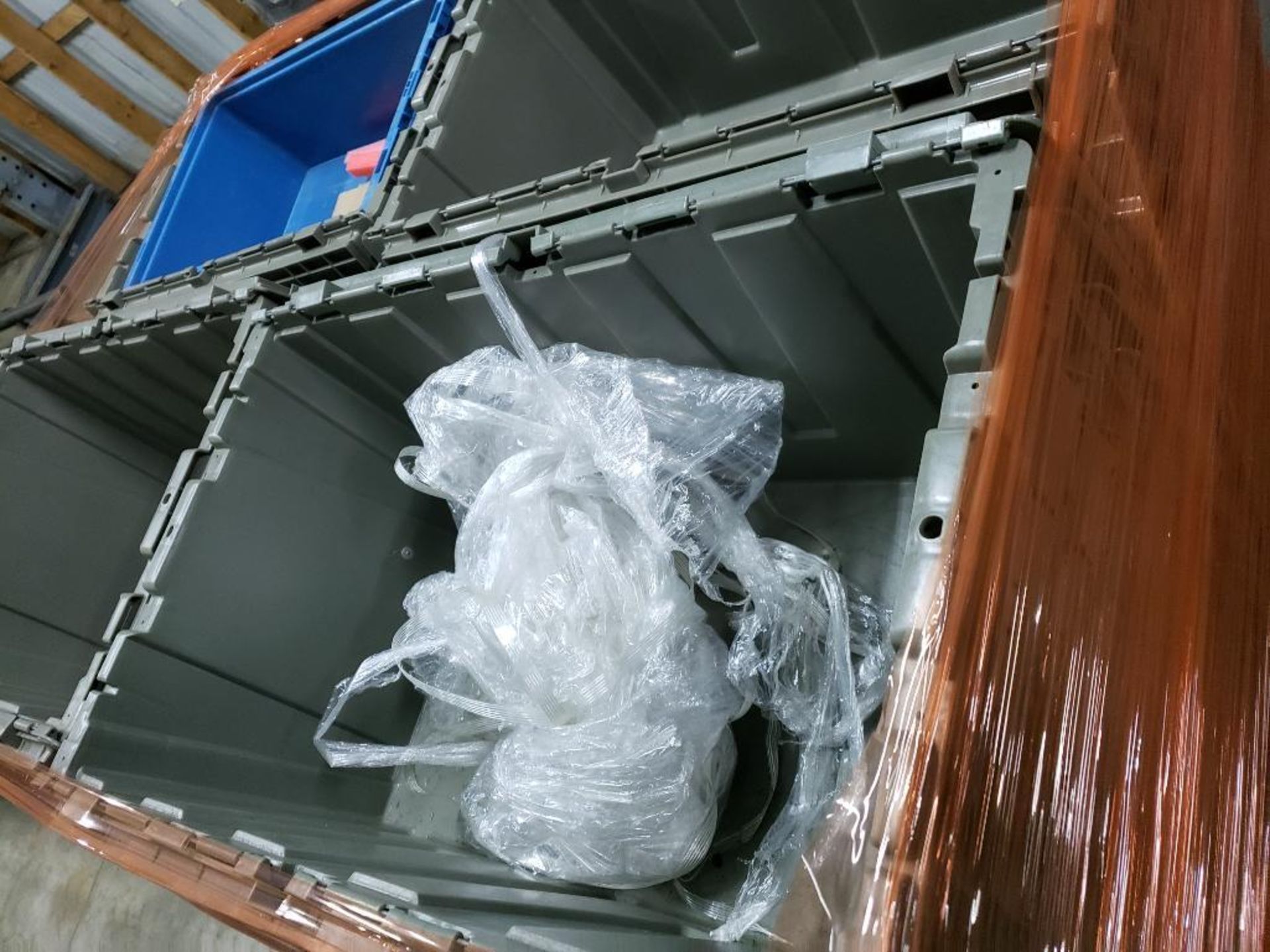 Qty 50 - Plastic storage bins. - Image 2 of 2