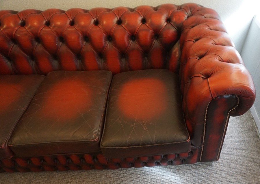 Chesterfield Ox Blood Leather Three Seater Sofa, 66cm high, 189cm wide, 94cm deep - Image 2 of 5