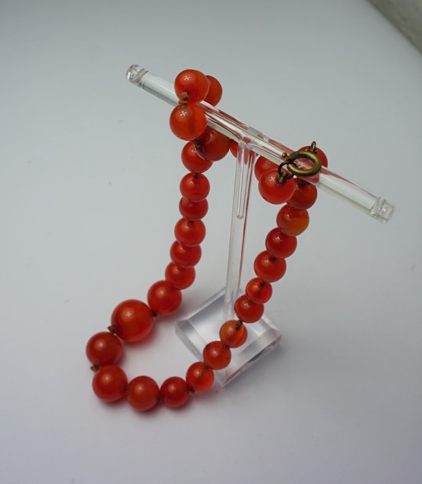 String of Natural Amber Beads, 30 Graduated Beads in total, Gross weight Approximately 46.8 Grams - Image 2 of 2