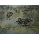 Henry Wilkinson "Birds" Colour Etching, Number 117 of 150, Signed in Pencil, 25cm x 35cm