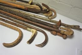 Quantity of Walking Sticks, To include an example with an Antler grip