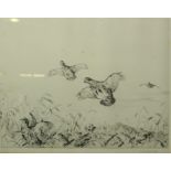 Winifred Austen (1876-1964) "Game Birds in Flight" Drypoint, Signed in Pencil, 22.5cm x 29cm