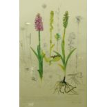 Raymond Piper "The Fragrant Orchid" Signed Limited Edition Print, Signed in pencil, No 372 of 500