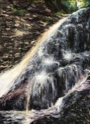 Fiona Carvell (British, B.1970), Cascade (Hareshaw Linn), pastel on board, signed lower right,