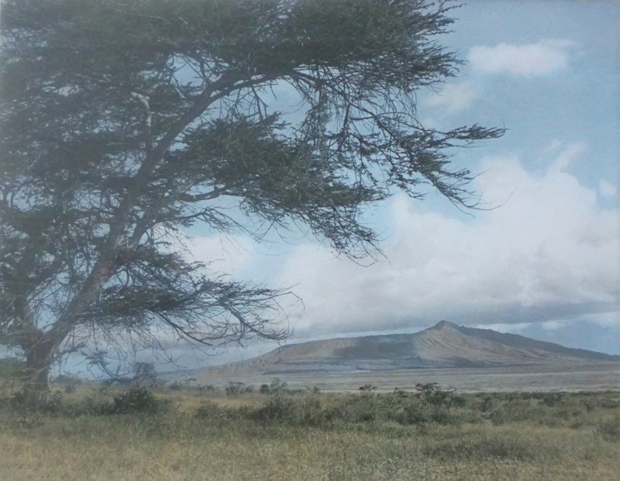Arthur Firmin ARPS RIBP (20th century) "Mt Longonoy" "Ngong Hills" "Mount Kenya" Three Signed - Image 2 of 13