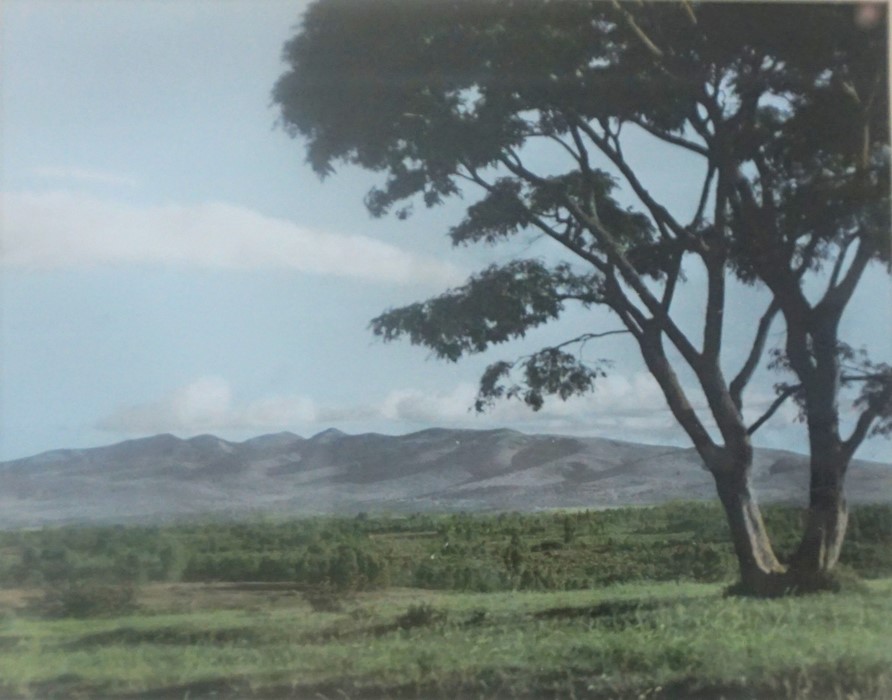 Arthur Firmin ARPS RIBP (20th century) "Mt Longonoy" "Ngong Hills" "Mount Kenya" Three Signed - Image 3 of 13