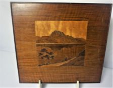 Two Spindler type Marquetry Pictures, 20cm x 20cm (2)