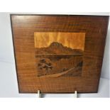 Two Spindler type Marquetry Pictures, 20cm x 20cm (2)