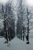 Mark Beech "Snow Covered Trees" Signed Print, Signed in pencil, 105cm x 71.5cm