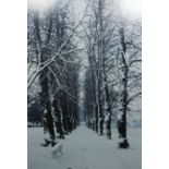 Mark Beech "Snow Covered Trees" Signed Print, Signed in pencil, 105cm x 71.5cm