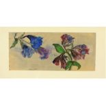 Joanna Carlisle, "Wild Flowers" Watercolour, Signed, 14.5cm x 32.5cm, With "Studies of Sheep"