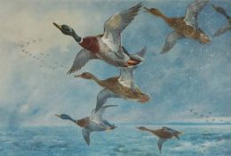 After Archibald Thorburn, FZS, Scottish (1860 - 1935) Three signed prints of ducks, including: