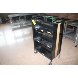 PORTABLE DOUBLE SIDED BOOK SHELVING CART, 48" x 17" X 28"
