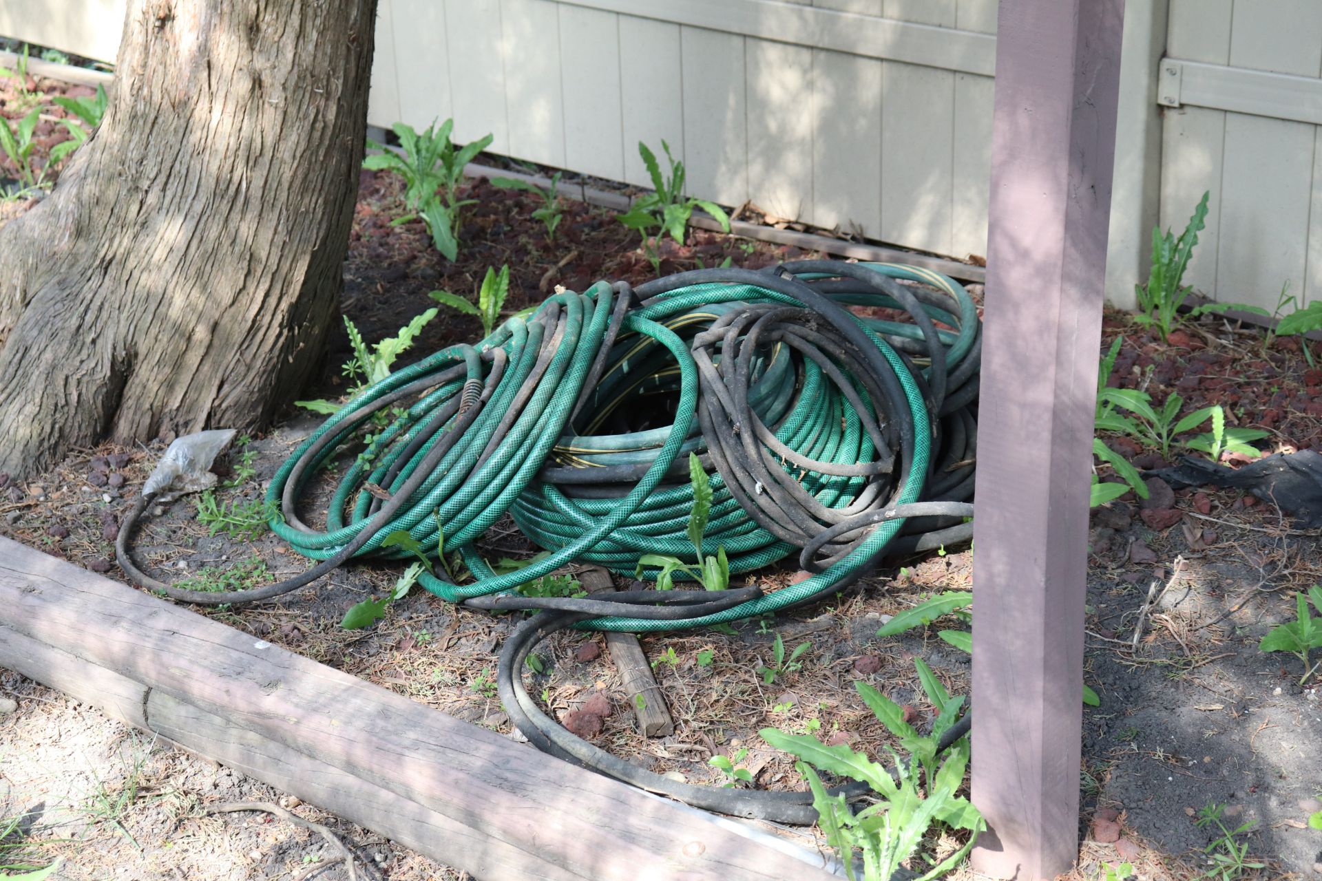 Group of garden hoses and garden reels - Image 4 of 4