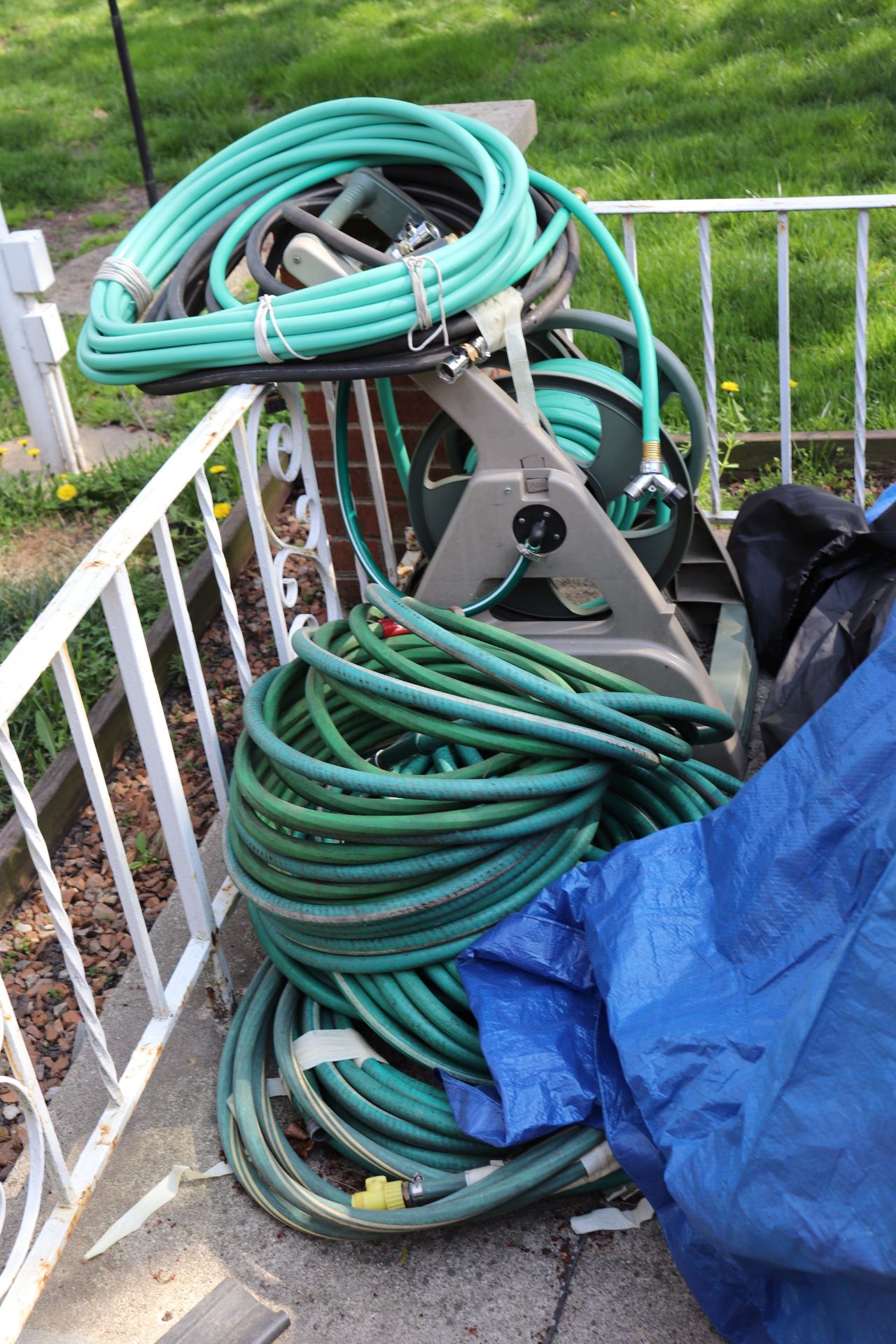 Group of garden hoses and garden reels