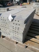 (10) 12" x 2' Wall-Ties Smooth Aluminum Concrete Forms 6-12 Hole Pattern. Located in Mt. Pleasant,