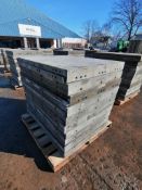 (20) 3' x 4' with 2" Ledge Wall-Ties Smooth Aluminum Concrete Forms 6-12 Hole Pattern. Located in