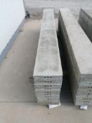 (10) 10" x 8' Wall-Ties Smooth Aluminum Concrete Forms 6-12 Hole Pattern. Located in Mt. Pleasant,