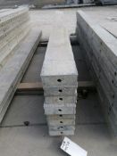 (8) 6" x 8' Wall-Ties Smooth Aluminum Concrete Forms 6-12 Hole Pattern. Located in Mt. Pleasant,