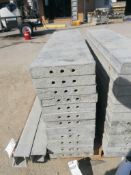 (12) 12" x 4' Wall-Ties Smooth Aluminum Concrete Forms 6-12 Hole Pattern. Located in Mt. Pleasant,