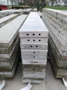 (12) 10" x 8' Wall-Ties Smooth Aluminum Concrete Forms 8" Hole Pattern. Located in Mt. Pleasant,