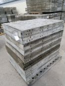 (20) 3' x 4' with 2" Ledge Wall-Ties Smooth Aluminum Concrete Forms 6-12 Hole Pattern. Located in