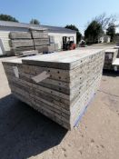 (13) 24" x 4' Wall-Ties Smooth Aluminum Concrete Forms 8" Hole Pattern. Located in Mt. Pleasant, IA.