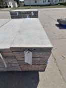 (10) 14" x 4' Wall-Ties Smooth Aluminum Concrete Forms 8" Hole Pattern. Located in Mt. Pleasant, IA.