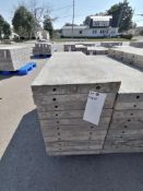 (11) 16" x 4' Wall-Ties Smooth Aluminum Concrete Forms 8" Hole Pattern. Located in Mt. Pleasant, IA.