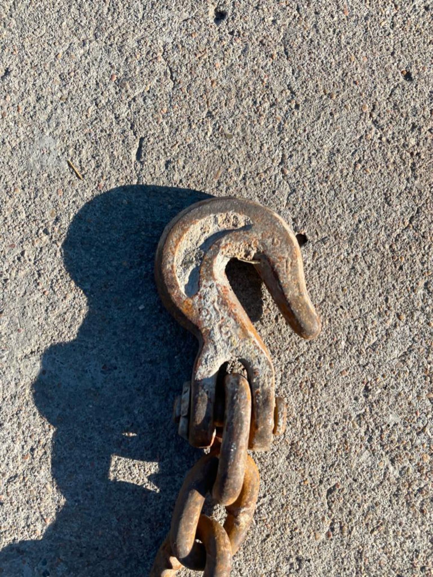 (5) Log Chains. (1) 16' with Clevis Hook, (2) 14' with Clevis Hook, (1) 9' with Clevis Hook & (1) 5' - Image 9 of 11