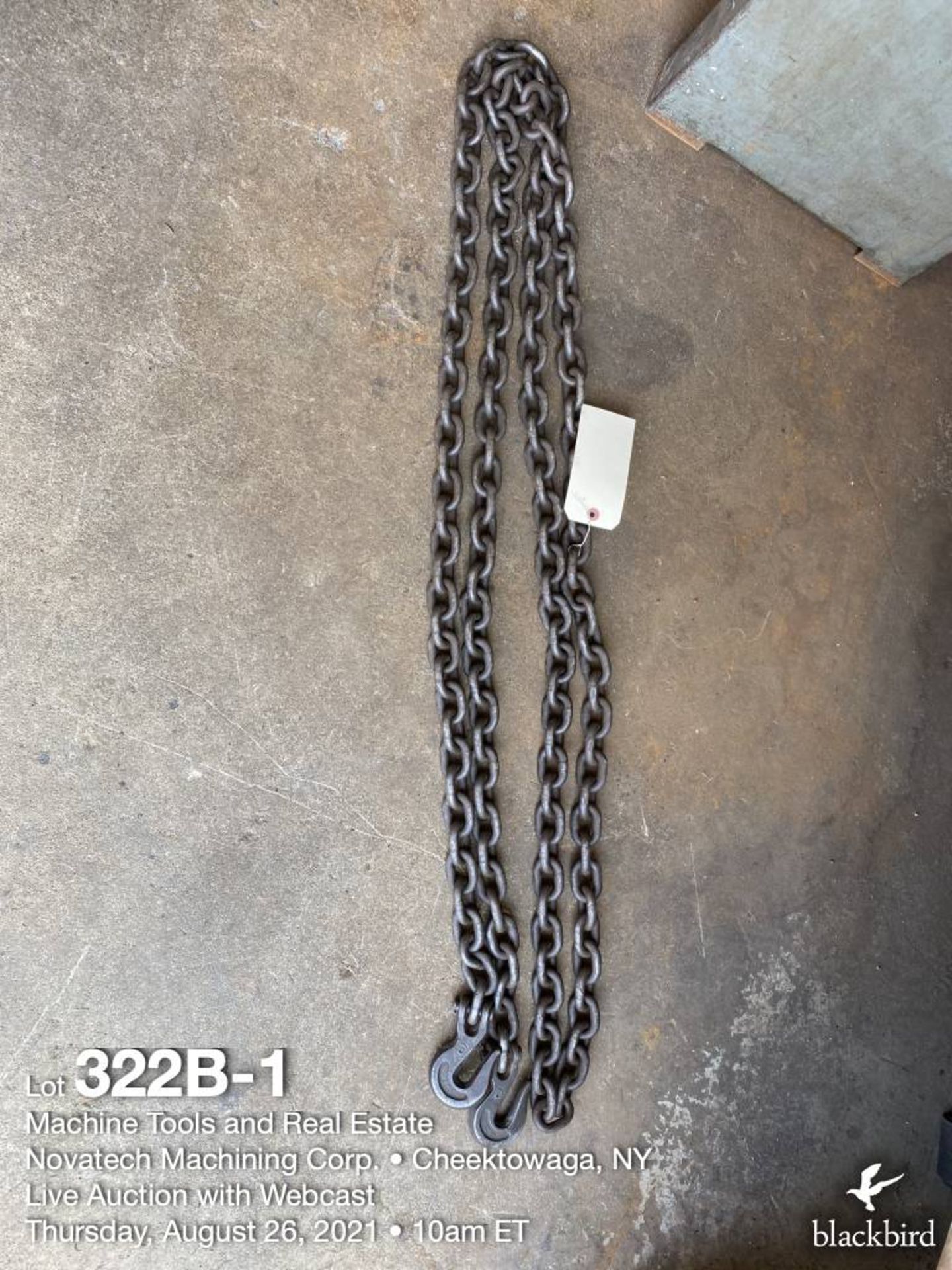 16-foot 3/8" chain with hooks