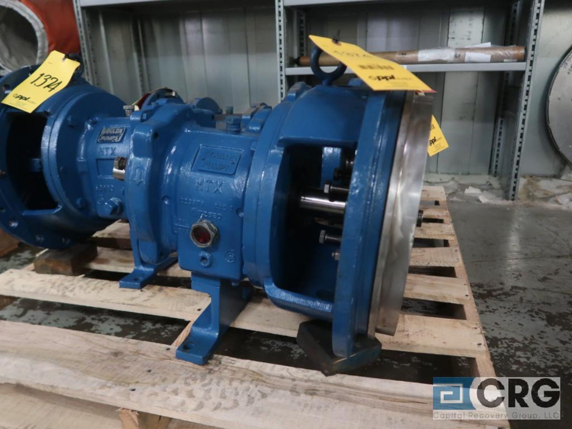 Lot of (2) Goulds 3196 MTX 13 in. pumps (Basement Stores)