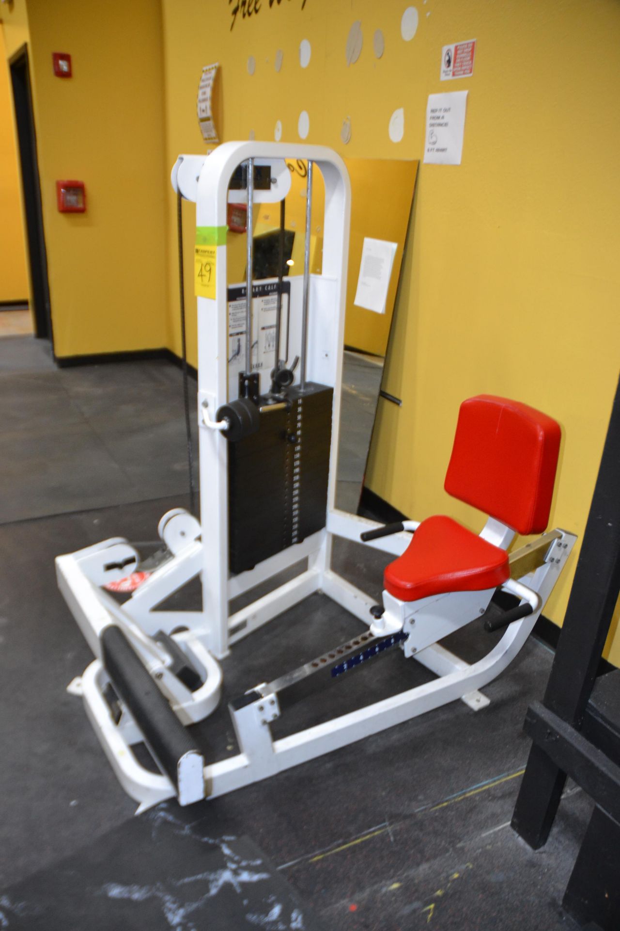 Cybex Rotary Calf