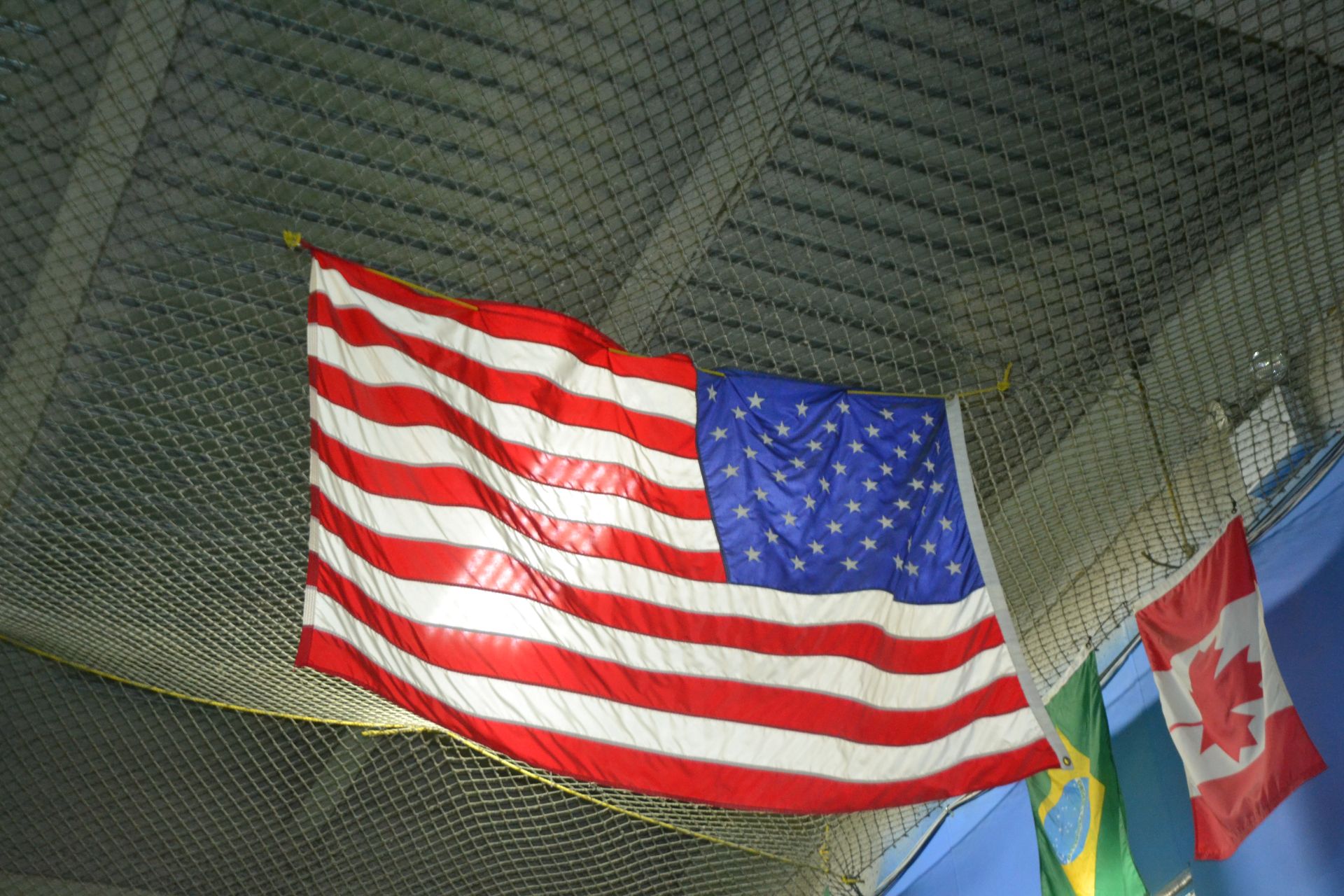 LOT - Flags