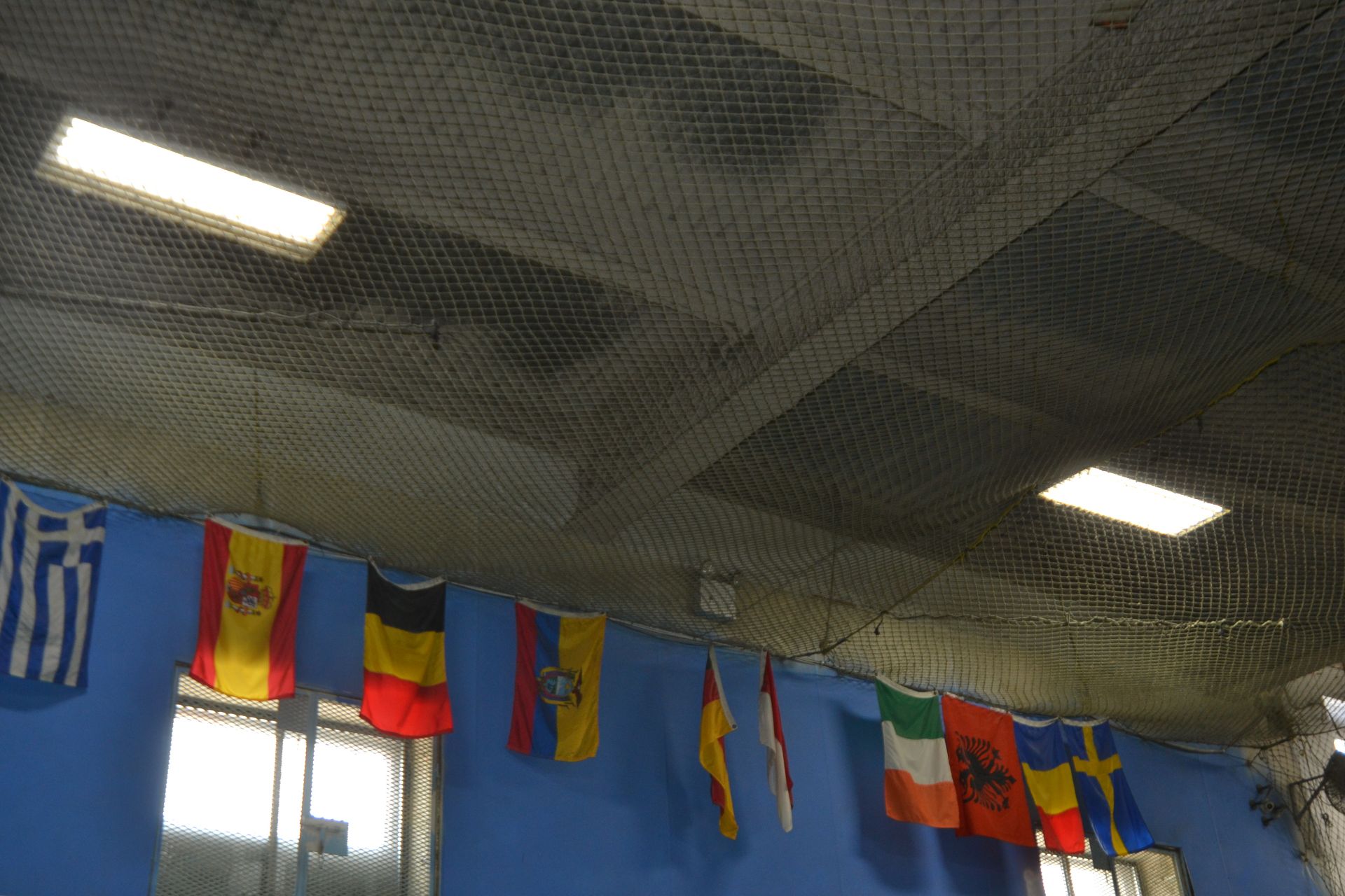 LOT - Flags - Image 4 of 4