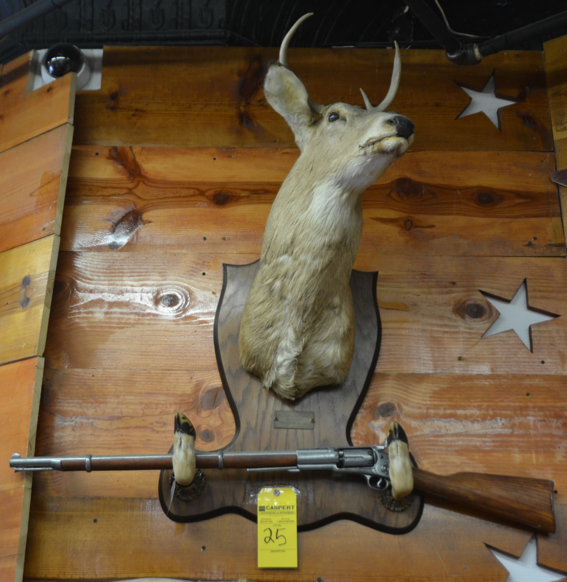 Mounted Deer Head, Hooves and Gun