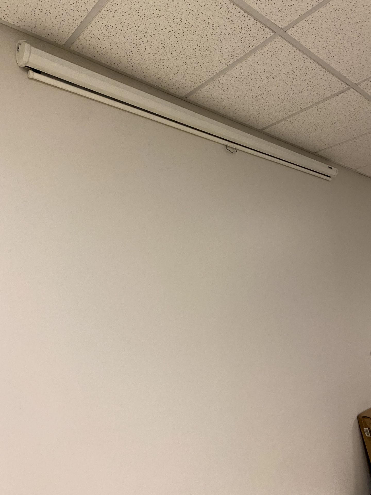 PULL DOWN PROJECTOR SCREEN -- (7625 OMNITECH PLACE VICTOR NEW YORK)