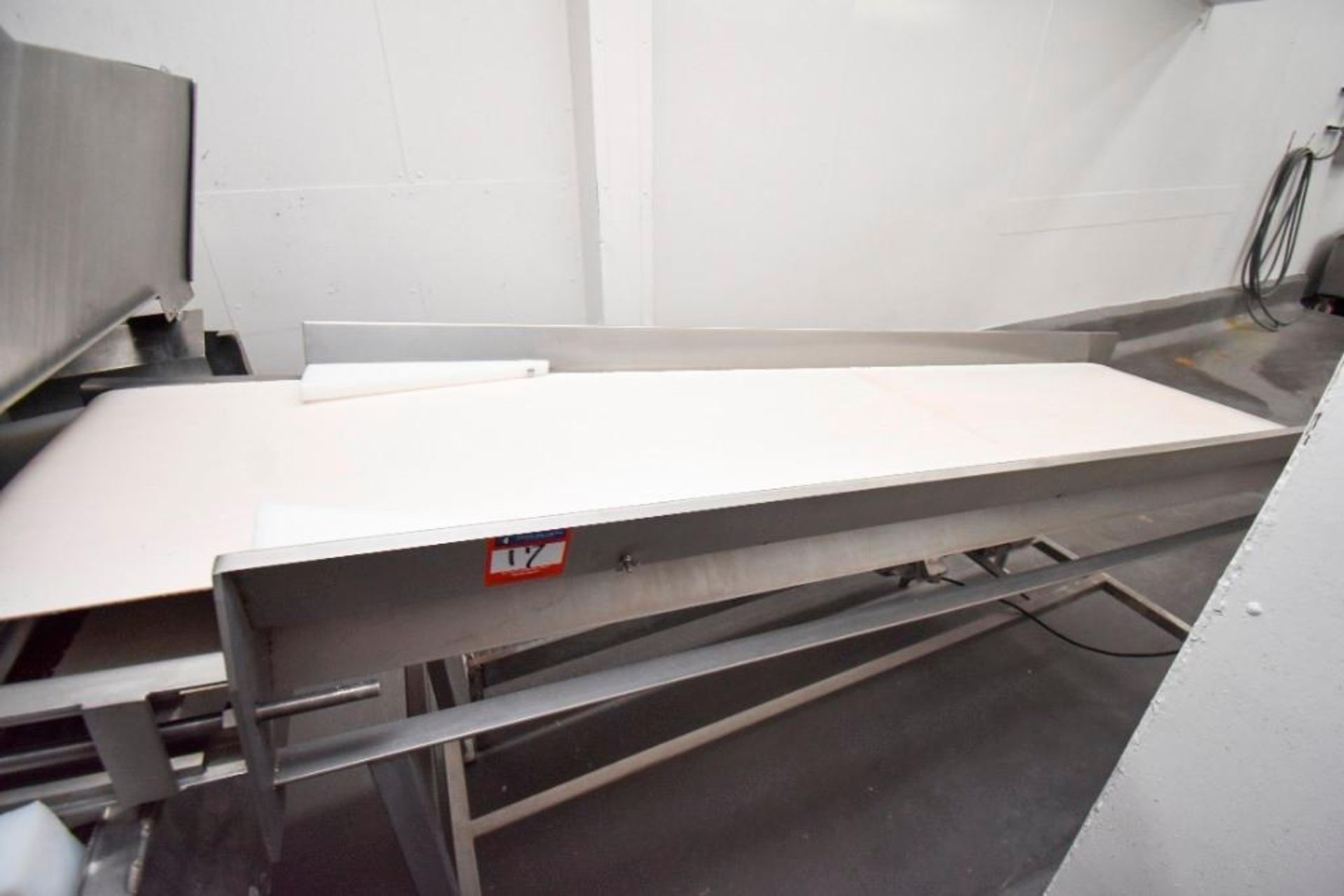 Co2 Freezer Infeed Inspection Conveyor