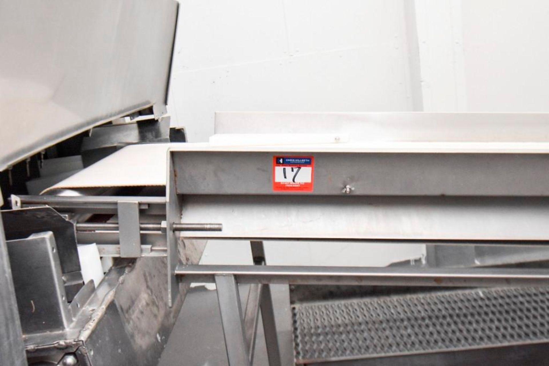 Co2 Freezer Infeed Inspection Conveyor - Image 4 of 4