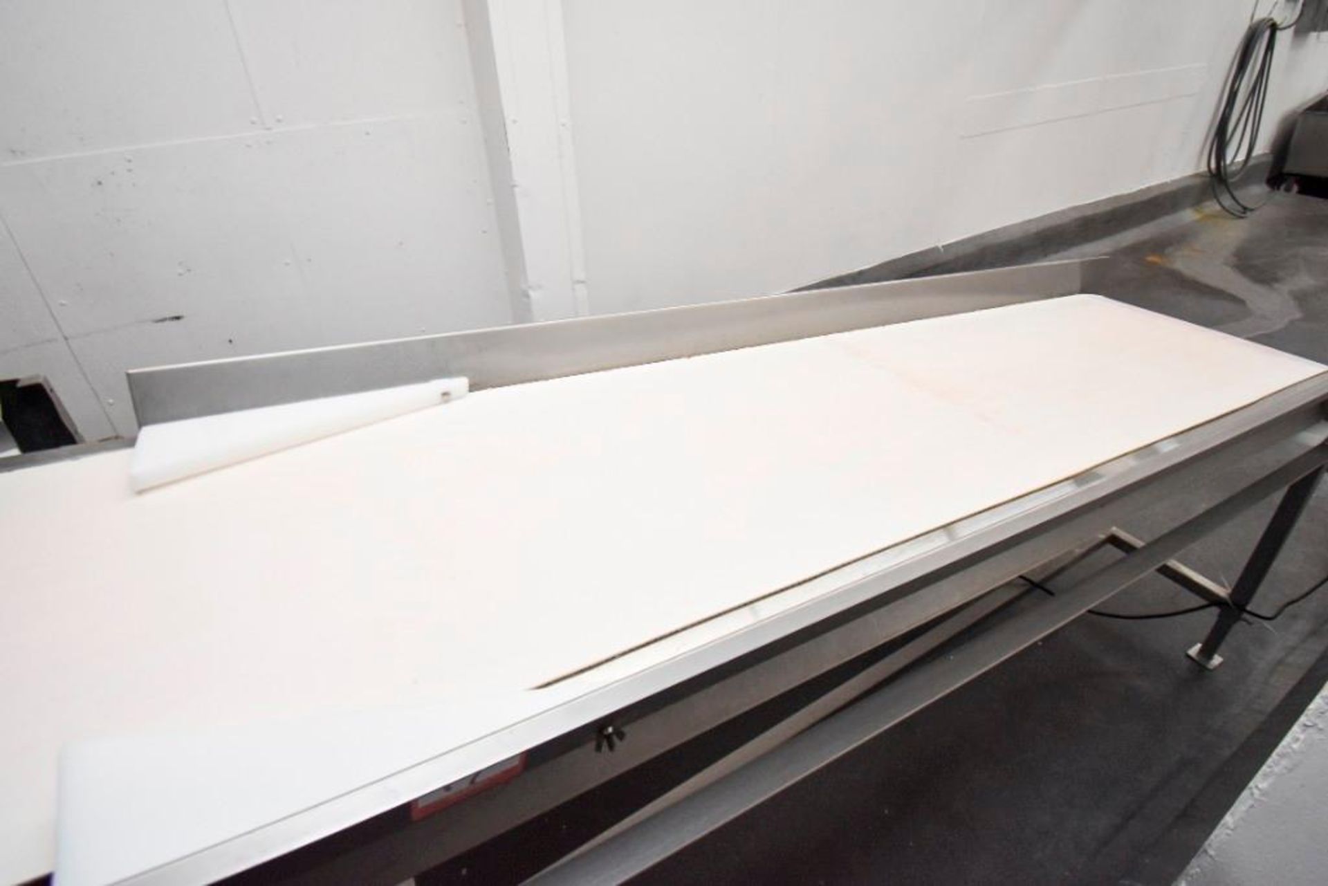 Co2 Freezer Infeed Inspection Conveyor - Image 2 of 4