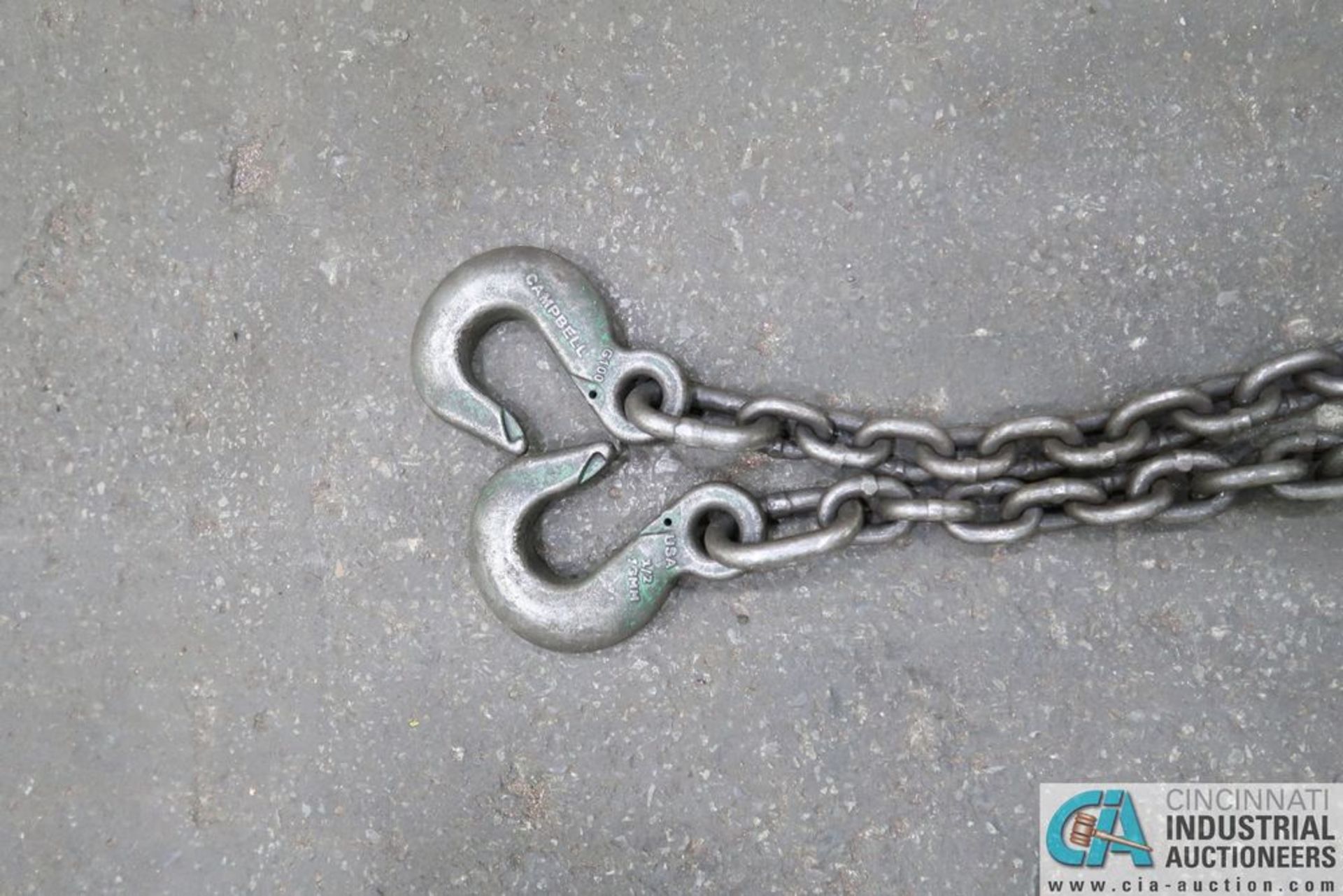 20' 2-HOOK LIFTING CHAIN - Image 4 of 4