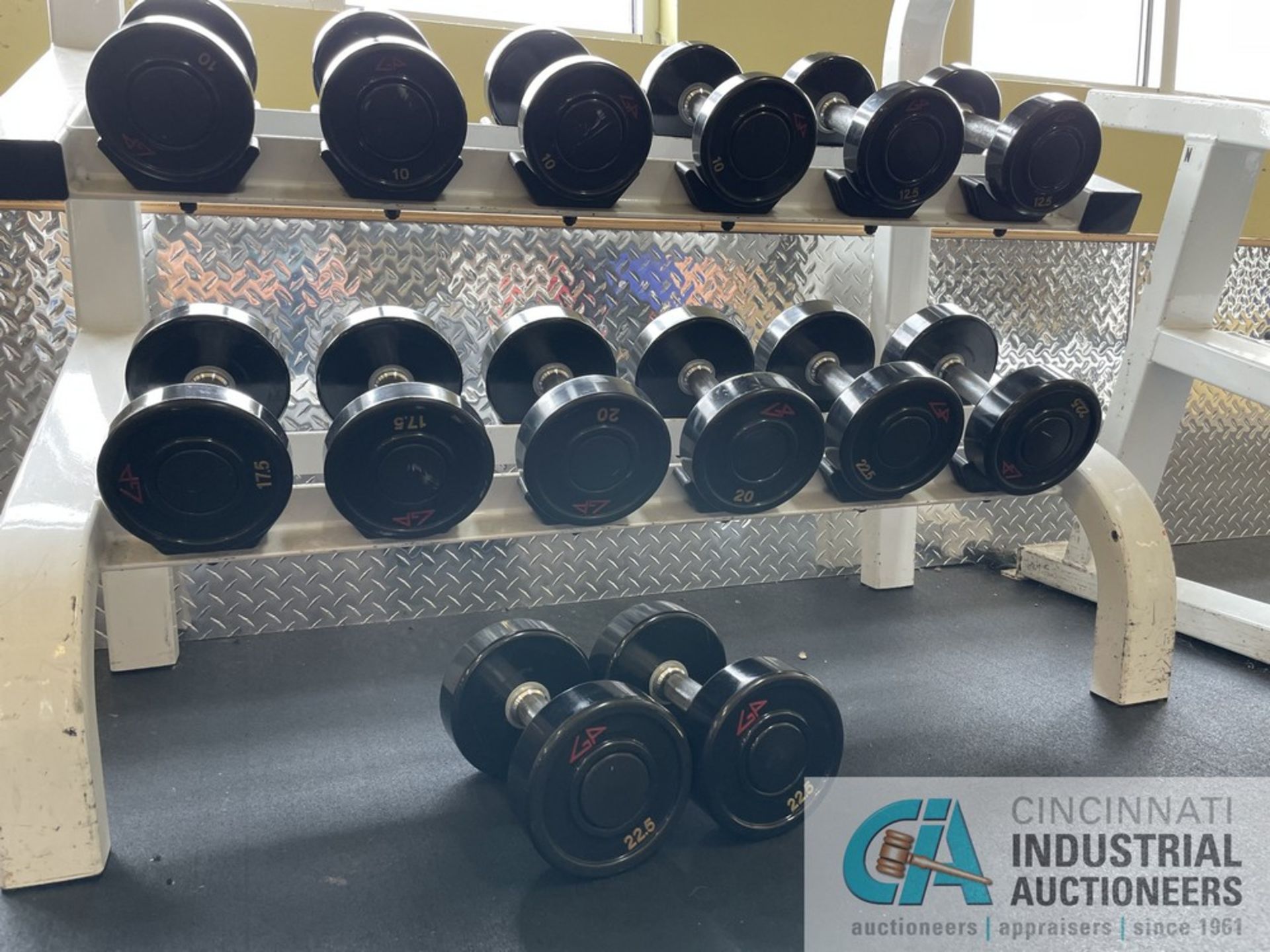 DUMBBELL RACK WITH DUMBBELLS; (4) 5 LB., (4) 7.5 LB., (4) 10 LB., (2) 12.5 LB., (2) 17.5 LB., (2) 20 - Image 4 of 8