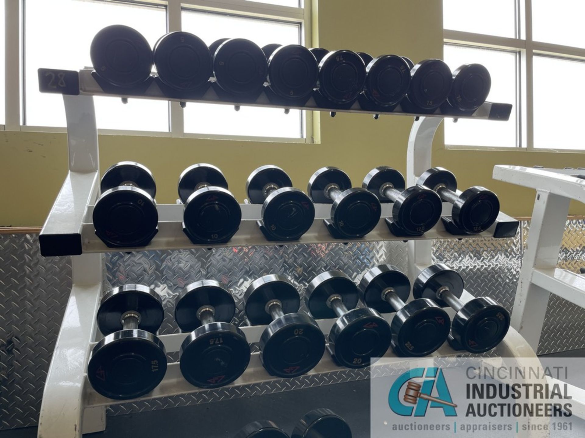 DUMBBELL RACK WITH DUMBBELLS; (4) 5 LB., (4) 7.5 LB., (4) 10 LB., (2) 12.5 LB., (2) 17.5 LB., (2) 20 - Image 5 of 8