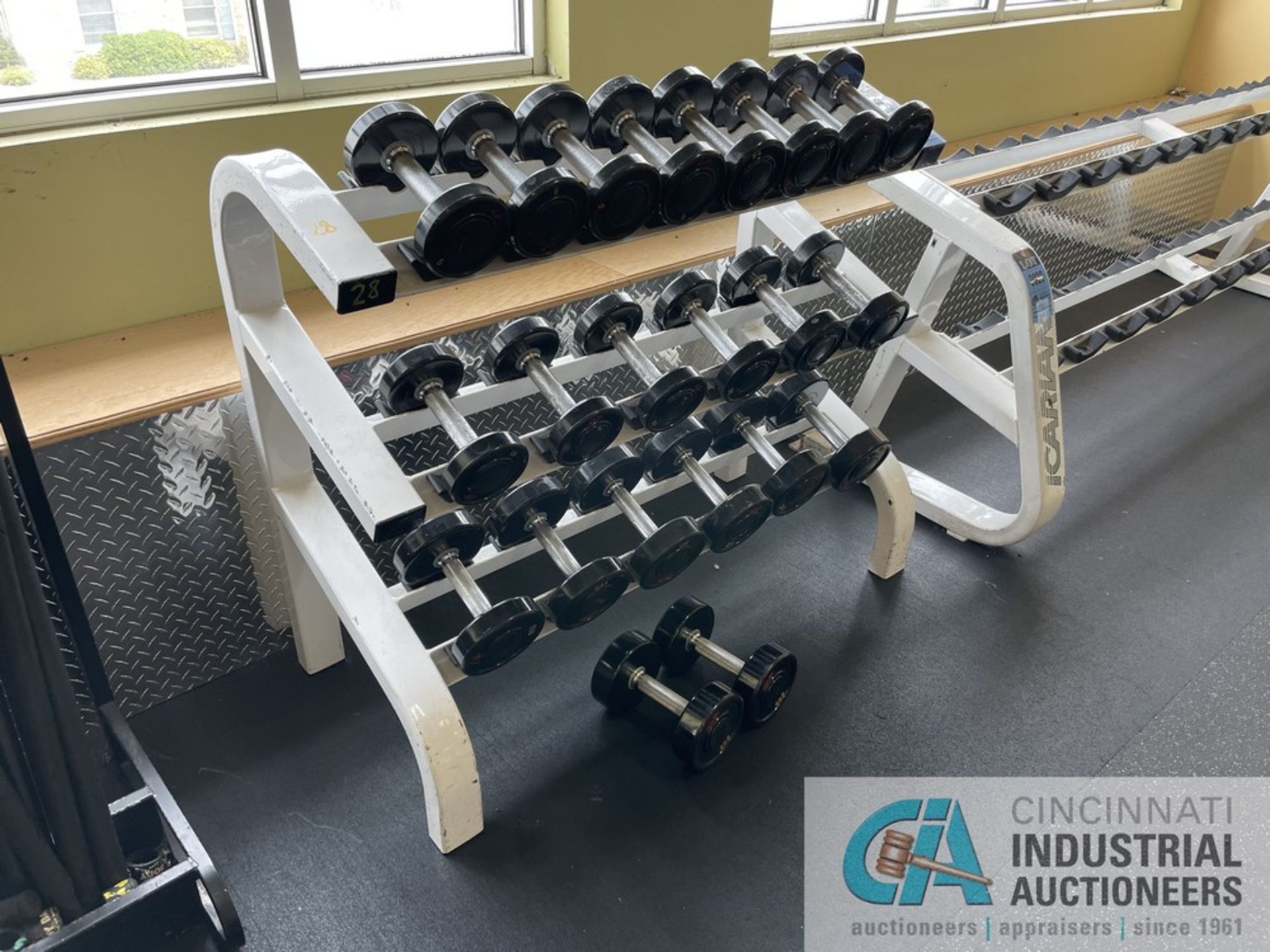 DUMBBELL RACK WITH DUMBBELLS; (4) 5 LB., (4) 7.5 LB., (4) 10 LB., (2) 12.5 LB., (2) 17.5 LB., (2) 20 - Image 2 of 8