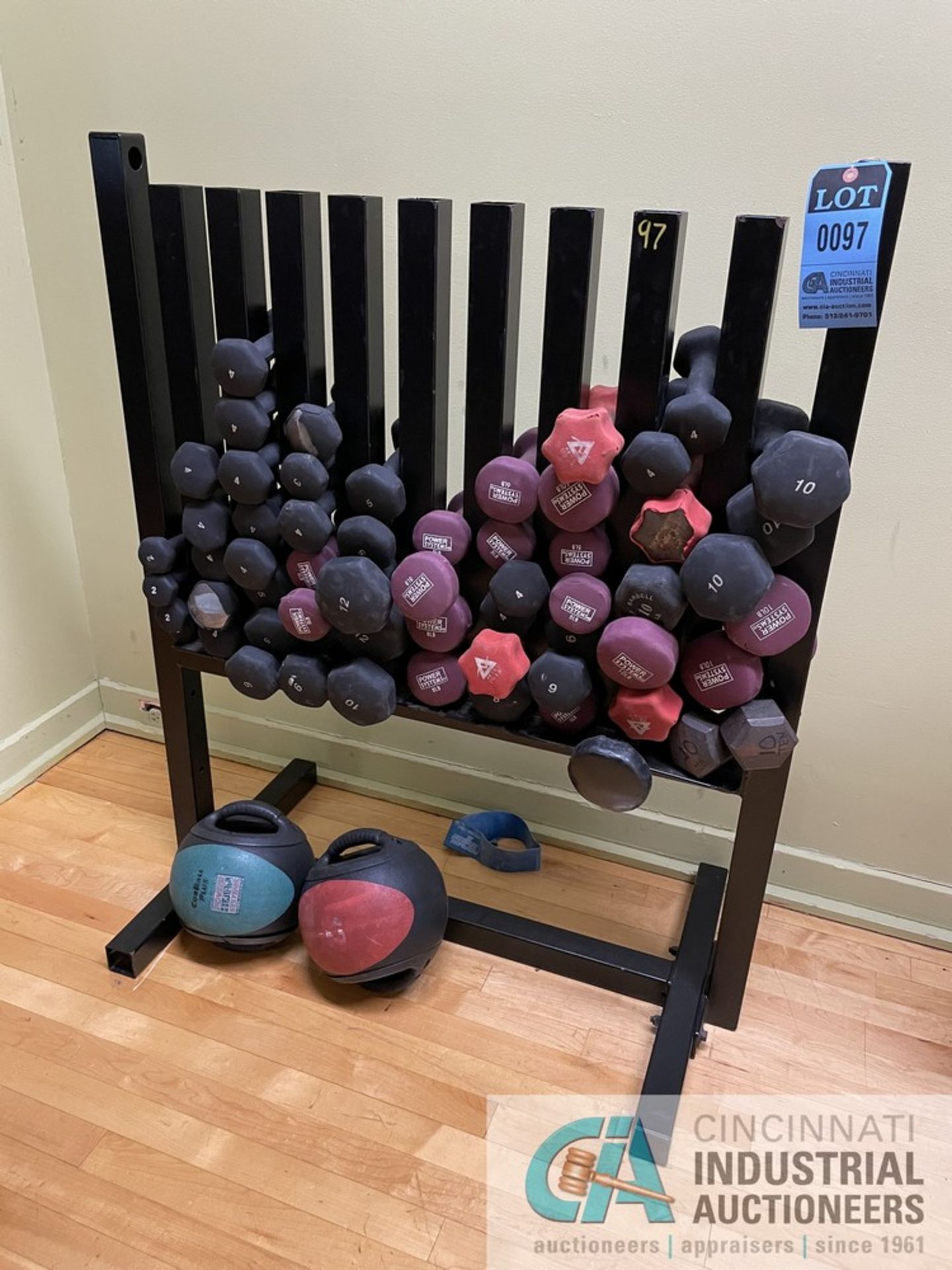 10-SLOT FREE WEIGHT RACK WITH FREE WEIGHTS