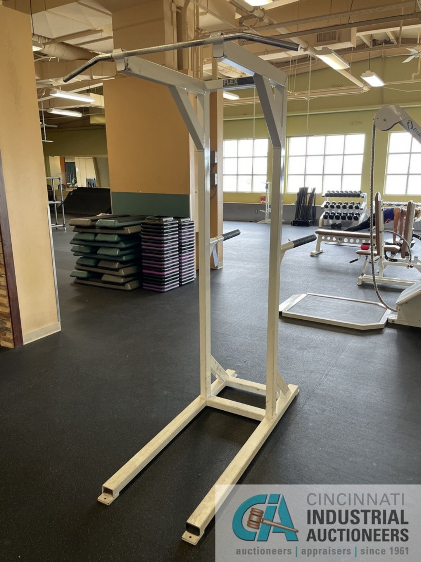 FLEX PERFORMANCE SYSTEMS PULLUP / DIE MACHINE **ATTN: This lot is located on the second floor. - Image 2 of 5