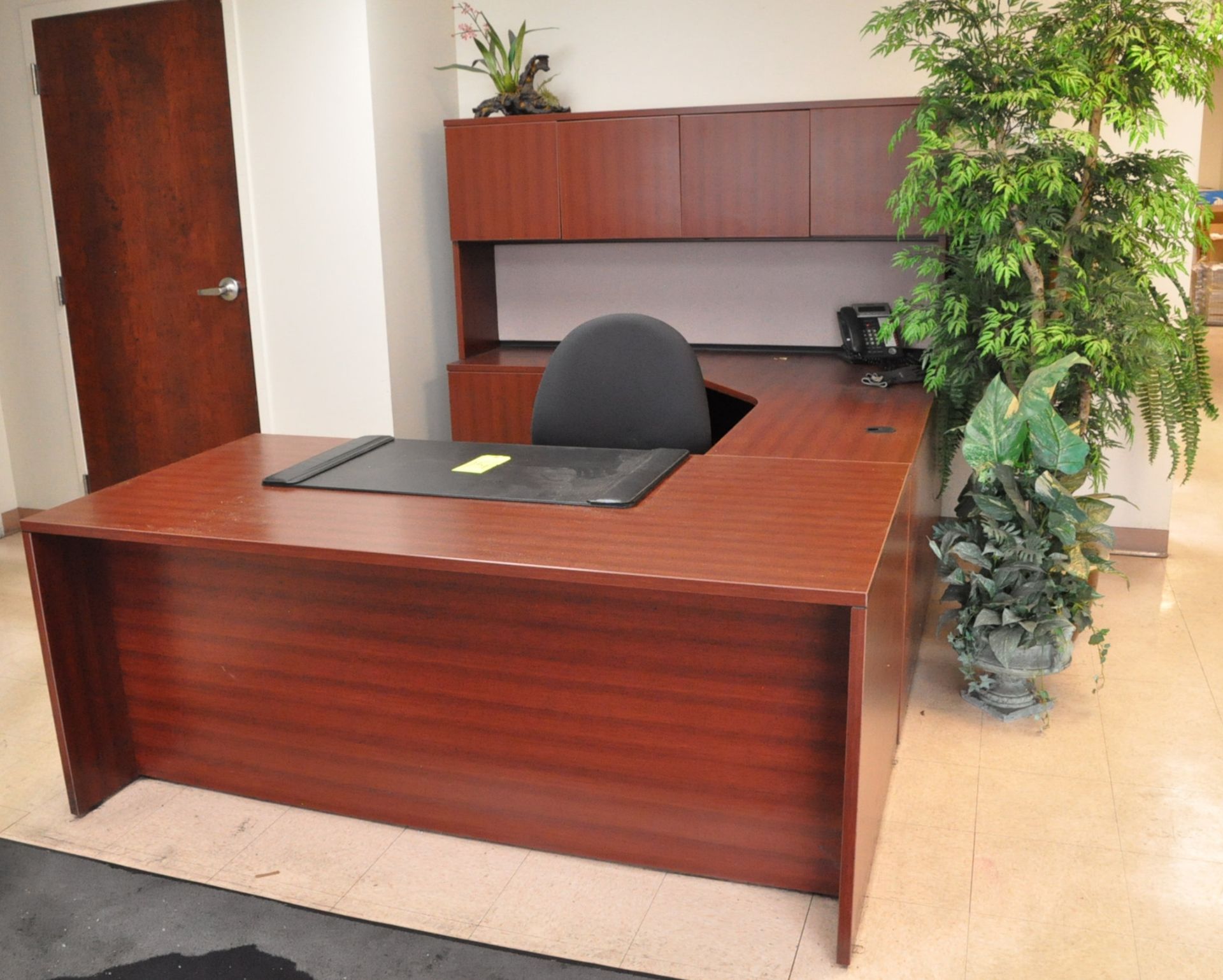 Lot-(1) Desk, (1) Chair and (3) Plants in Reception Area