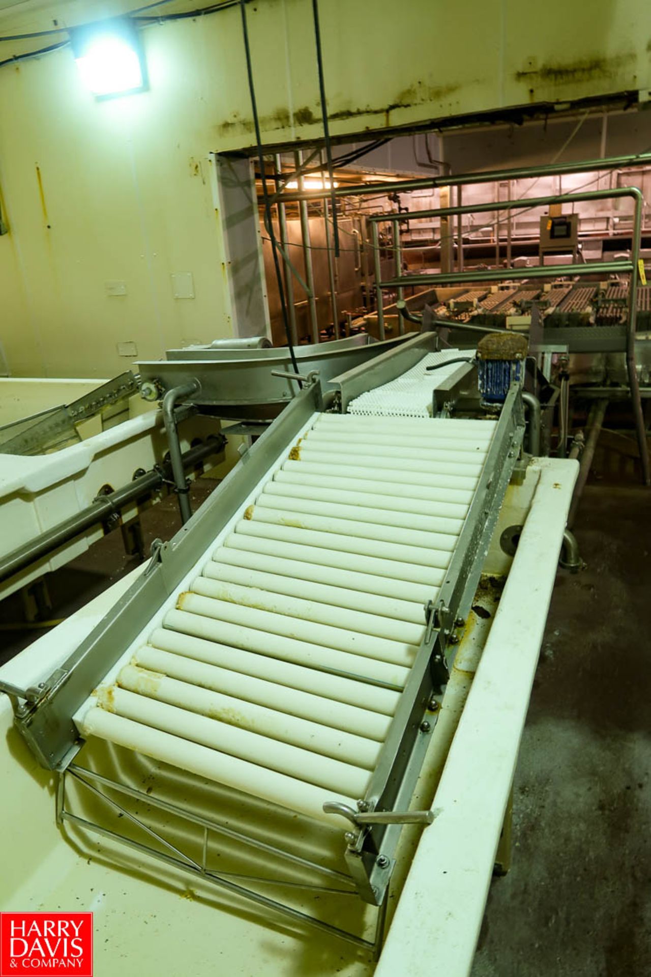 Supreme S/S Fabricating Inc. SBS Salt Brining System 10-Cage, 10-Lane Incoming Conveyor, Dual Lane - Image 8 of 13