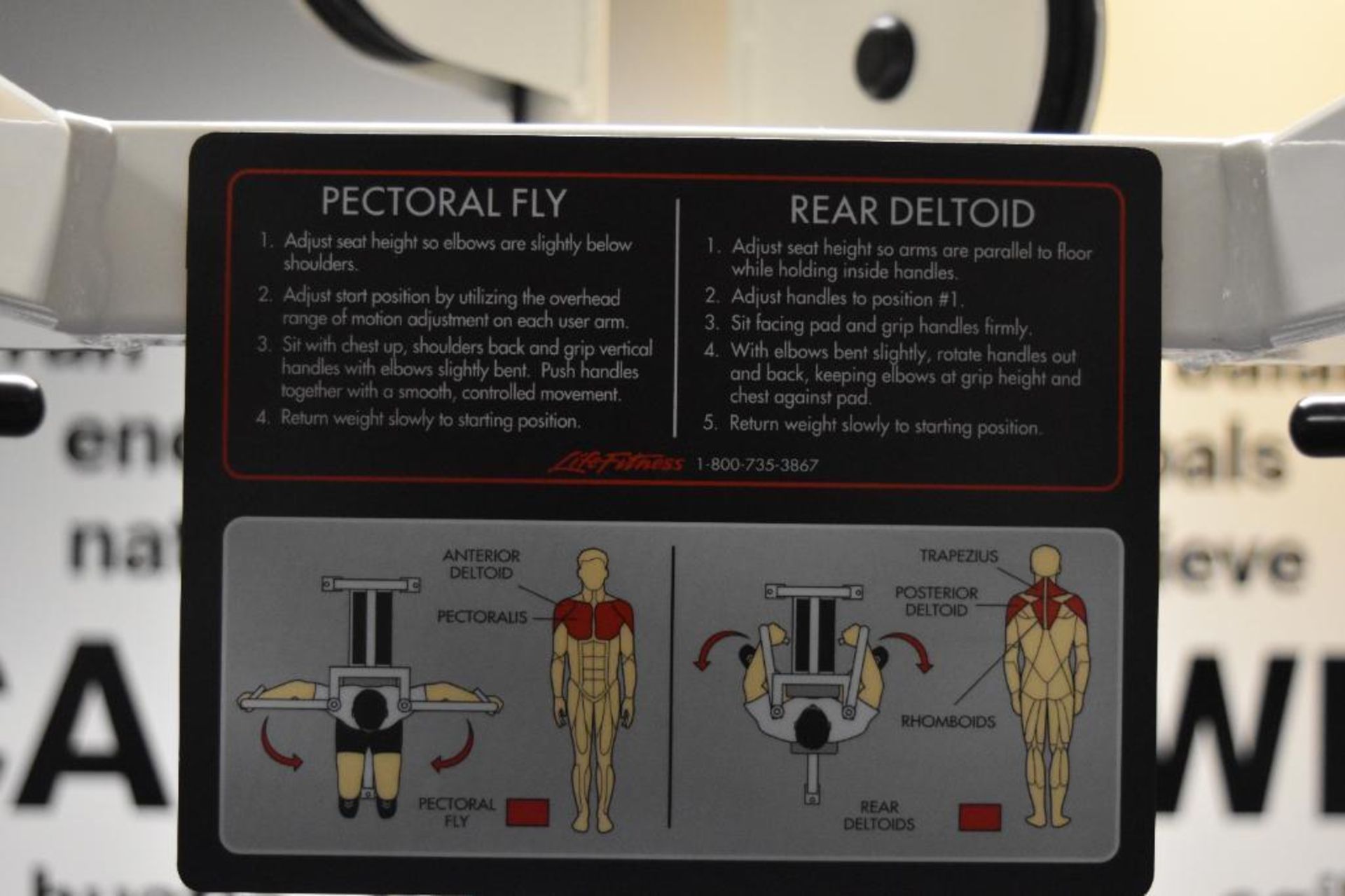 Life Fitness Pectoral Fly & Rear Deltoid Station S/N: 64141, Model SU35 - Image 3 of 4