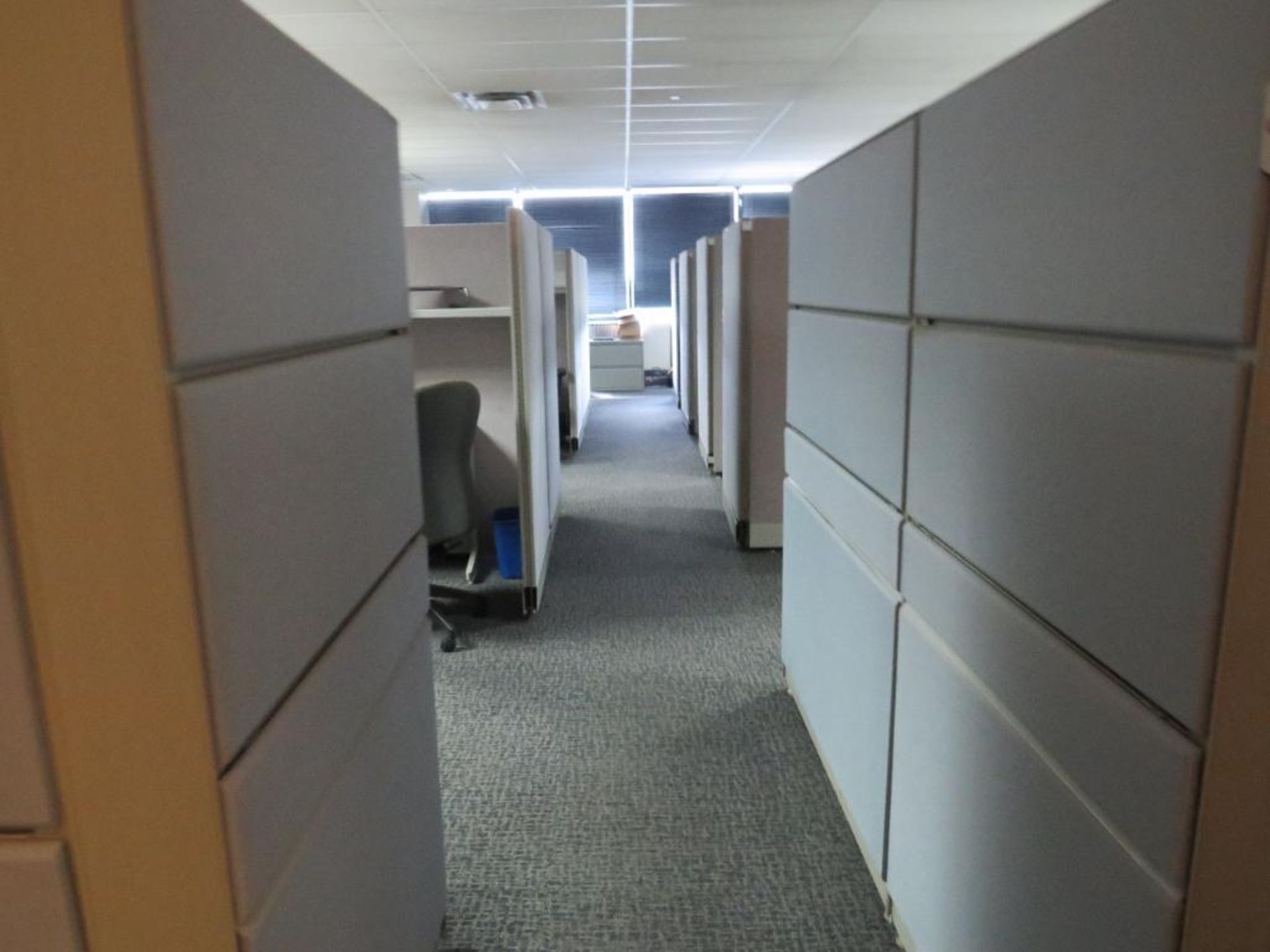 Lot c/o: Large Quantity of Cubicle Partitions Appx. 12,000-Sq. Ft. of 67" & 54" Tall - Image 6 of 6